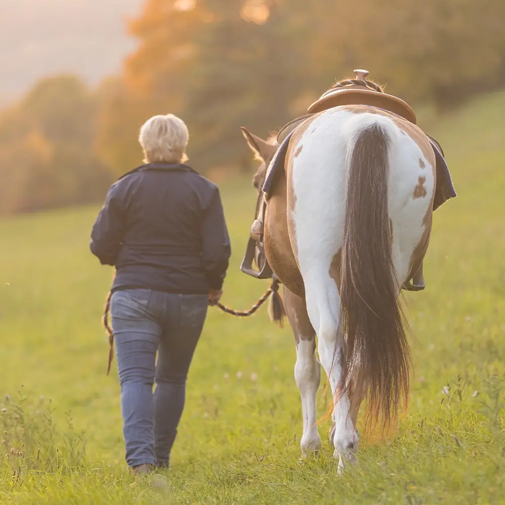 Mirijam-Stark-MKA-Horsemanship-Trainerin-Bodenarbeit-Reiten-Reitunterricht-Beritt-Pferd-Alb-Donau-Kreis-Ehingen-Ulm-Biberach