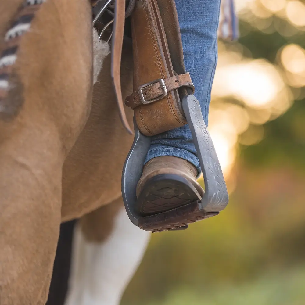 Mirijam-Stark-MKA-Horsemanship-Trainerin-Bodenarbeit-Reiten-Reitunterricht-Verladetraining-Beritt-Pferd-Alb-Donau-Kreis-Ehingen-Ulm-Biberach