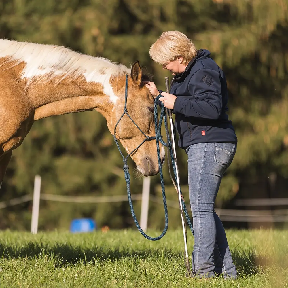 Mirijam-Stark-MKA-Horsemanship-Trainerin-Bodenarbeit-Reiten-Reitunterricht-Verladetraining-Pferd-Alb-Donau-Kreis-Ehingen-Ulm-Biberach
